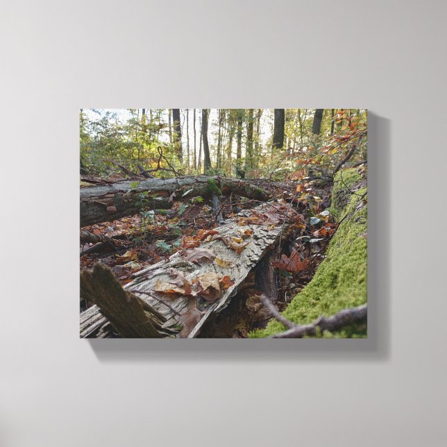 Herbst Leinwanddruck (Vorderseite)