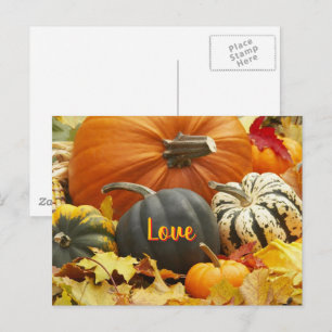 Herbst Liebe Herbst Foto Blätter Pumpkins Postkarte
