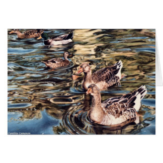 Herbst-Lied - Gänse und Enten im Teich