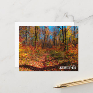 Herbst-Magenwald Postkarte
