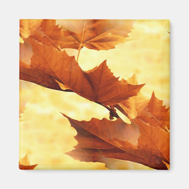 Herbst Magnet (Vorne)