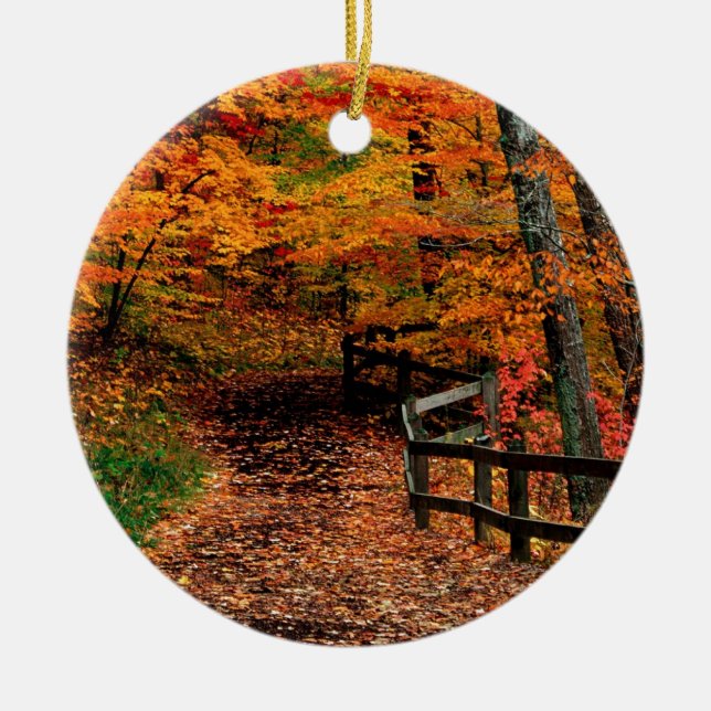 Herbst Mccormick Nebenfluss-Staats-Park Indiana Keramik Ornament (Vorne)
