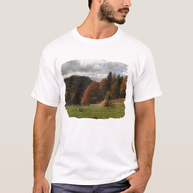 Herbst mit Bergfocken und Hystack T-Shirt (Vorderseite)