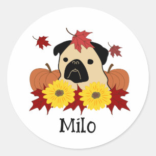 Herbst-Mops mit Blätter, Pumpkins und Sonnenblumen Runder Aufkleber