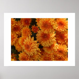 Herbst-Mums-Poster Poster