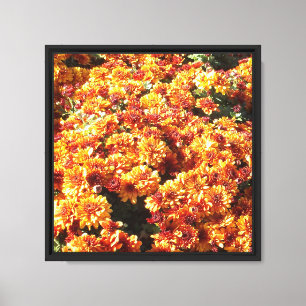 Herbst-Mütterchrysanthemen Leinwanddruck