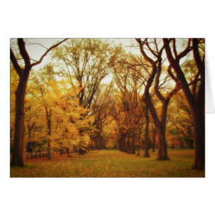 Herbst - New York City