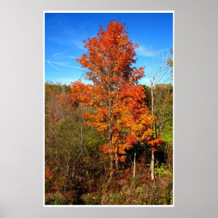 Herbst Orange Poster