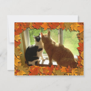 Herbst Orange Tabby Katzen