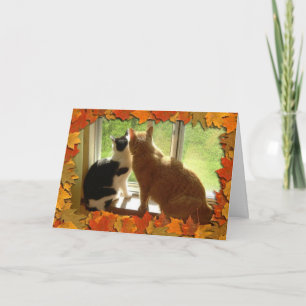 Herbst Orange Tabby Katzen Feiertagskarte