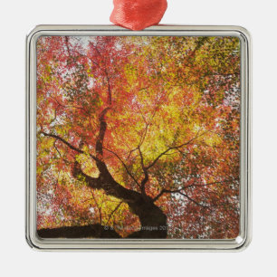 Herbst Ornament Aus Metall