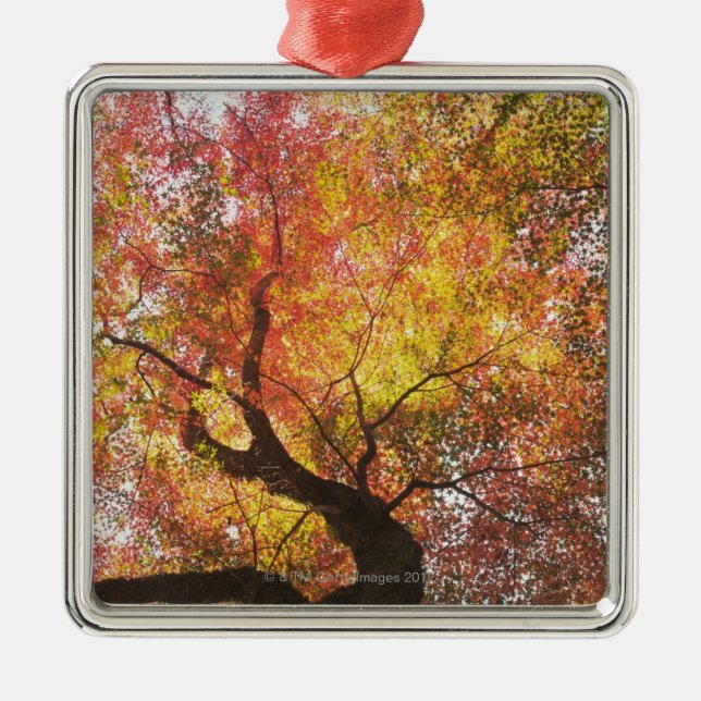 Herbst Ornament Aus Metall (Vorne)