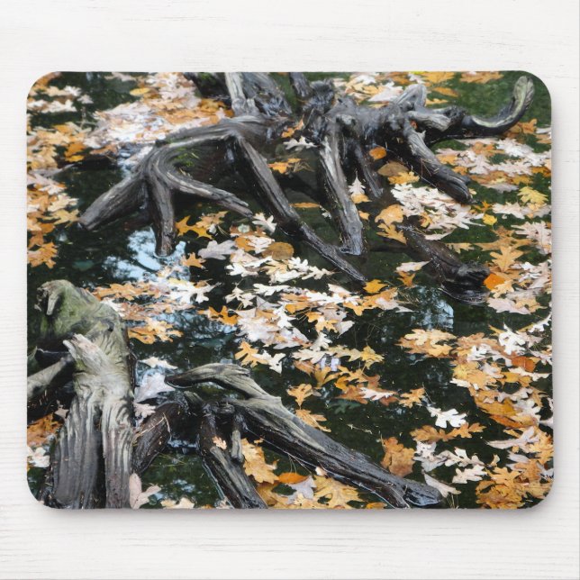 Herbst-Otter-Teich der Blätter Mousepad (Vorne)