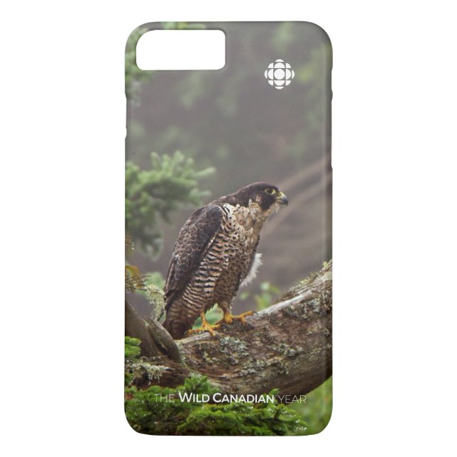 Herbst - Peregrine Falcon Case-Mate iPhone Hülle (Rückseite)