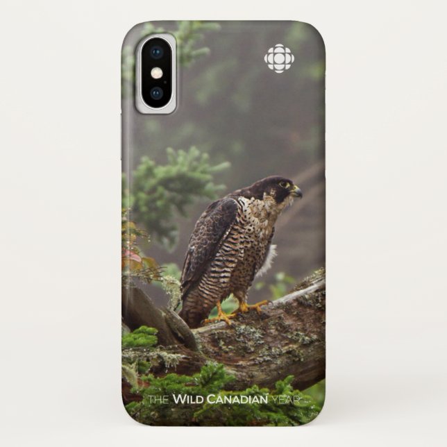 Herbst - Peregrine Falcon Case-Mate iPhone Hülle (Rückseite)