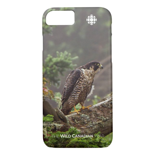 Herbst - Peregrine Falcon Case-Mate iPhone Hülle (Rückseite)