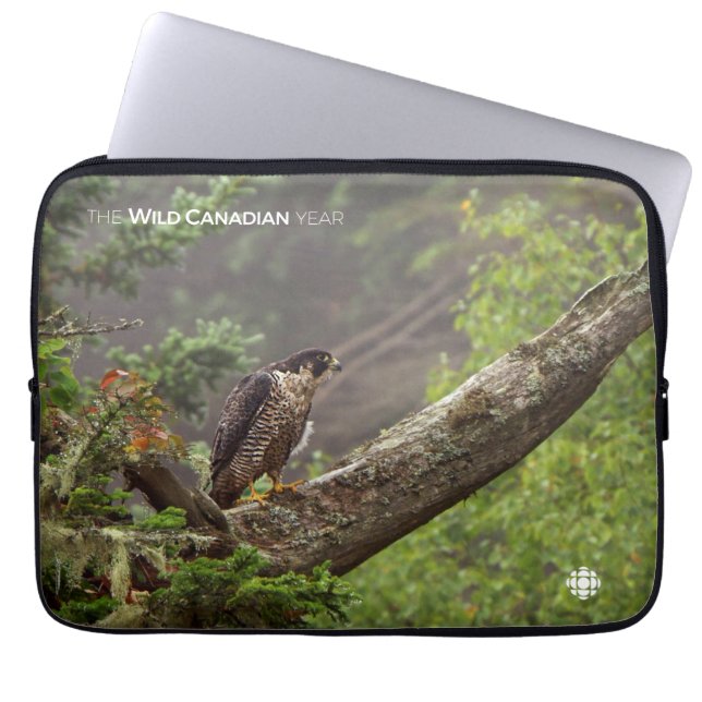 Herbst - Peregrine Falcon Laptopschutzhülle (Vorderseite)