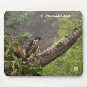 Herbst - Peregrine Falcon Mousepad