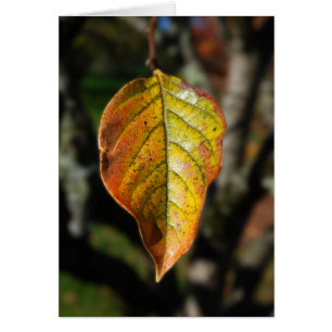 Herbst-Persimone-Blatt