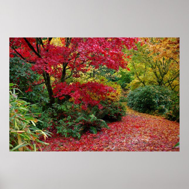 Herbst Poster (Vorne)