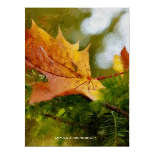 Herbst Poster (Vorderseite)