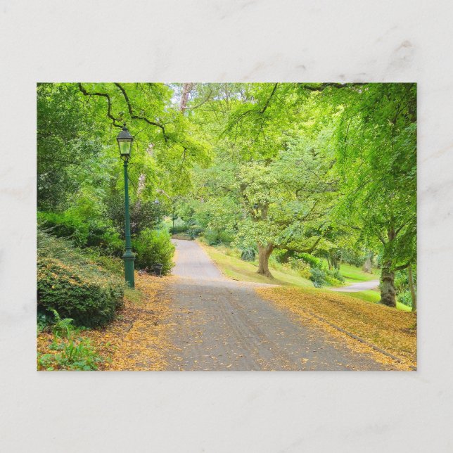Herbst Postkarte (Vorderseite)