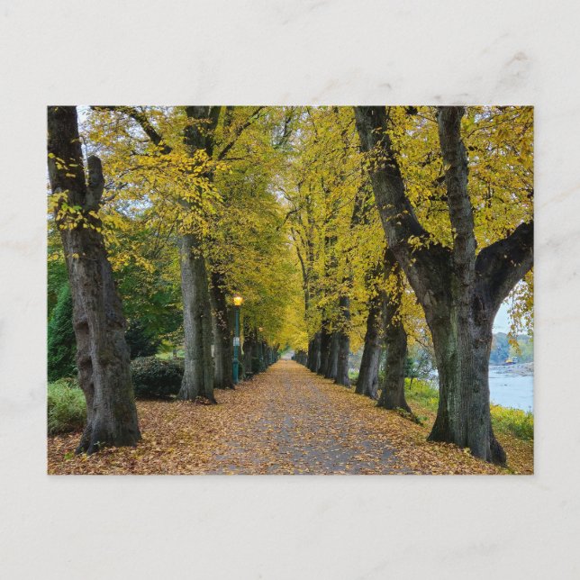 Herbst  postkarte (Vorderseite)