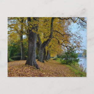Herbst postkarte