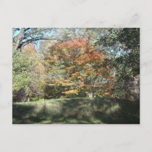 Herbst Postkarte