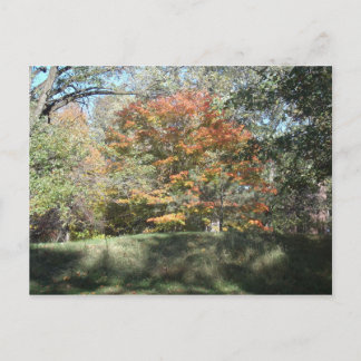 Herbst Postkarte