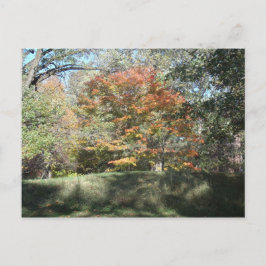 Herbst Postkarte