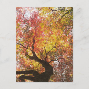 Herbst Postkarte