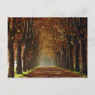 Herbst Postkarte