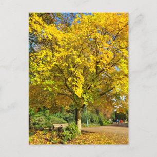 Herbst Postkarte