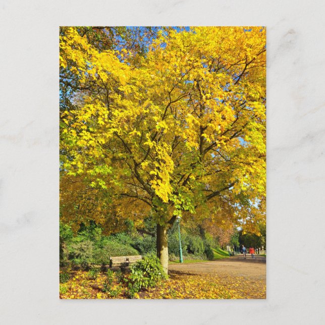 Herbst Postkarte (Vorderseite)