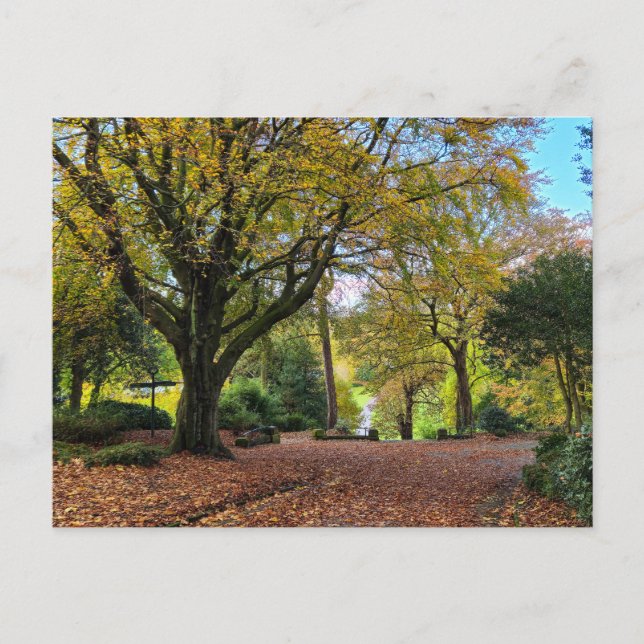 Herbst Postkarte (Vorderseite)