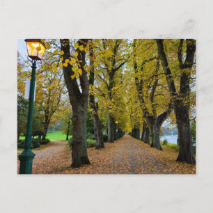 Herbst postkarte