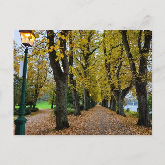 Herbst  postkarte (Vorderseite)