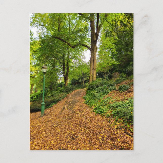 Herbst Postkarte (Vorderseite)