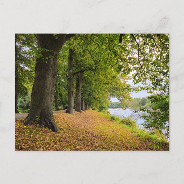 Herbst Postkarte (Vorderseite)