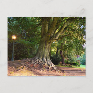 Herbst postkarte