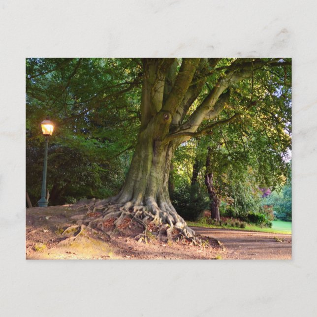 Herbst  postkarte (Vorderseite)