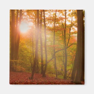 Herbst-Pracht Magnet