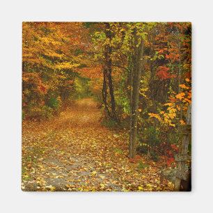 Herbst-Pracht-Magnet Magnet