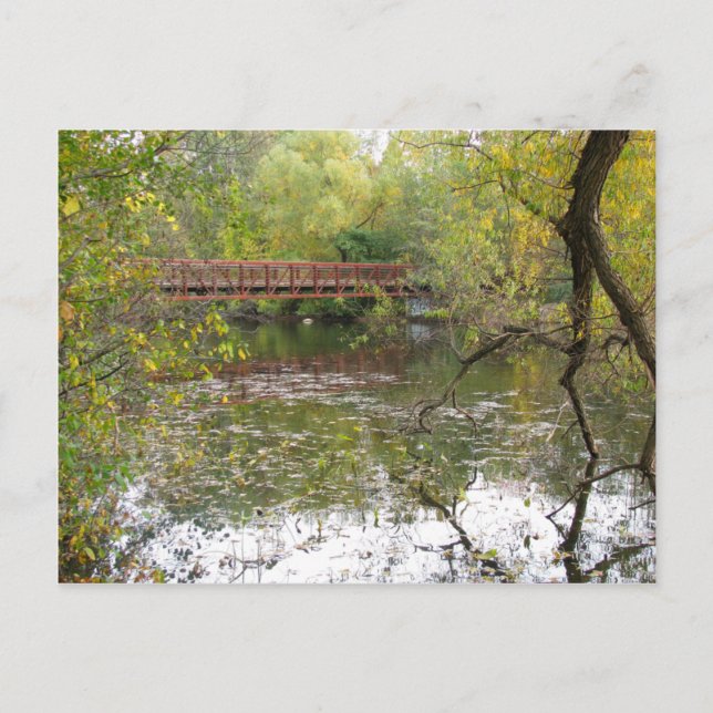 Herbst-Reflexionen Postkarte (Vorderseite)