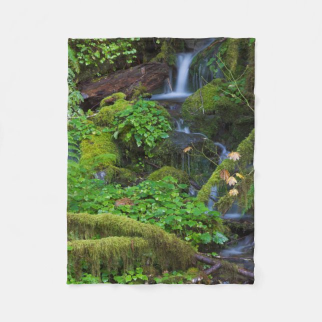 Herbst-Regenwald | Olympischer Nationalpark Fleecedecke (Vorderseite)