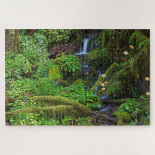 Herbst-Regenwald   Olympischer Nationalpark Puzzle