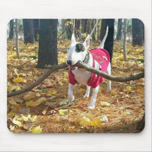 Herbst-Rex-Mousepad Mousepad