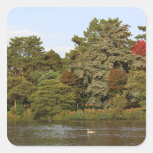 Herbst, Roath Park Lake, Cardiff Quadratischer Aufkleber