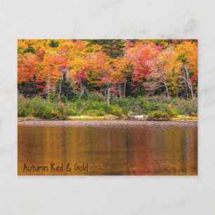 Herbst Rot & Gold Postkarte